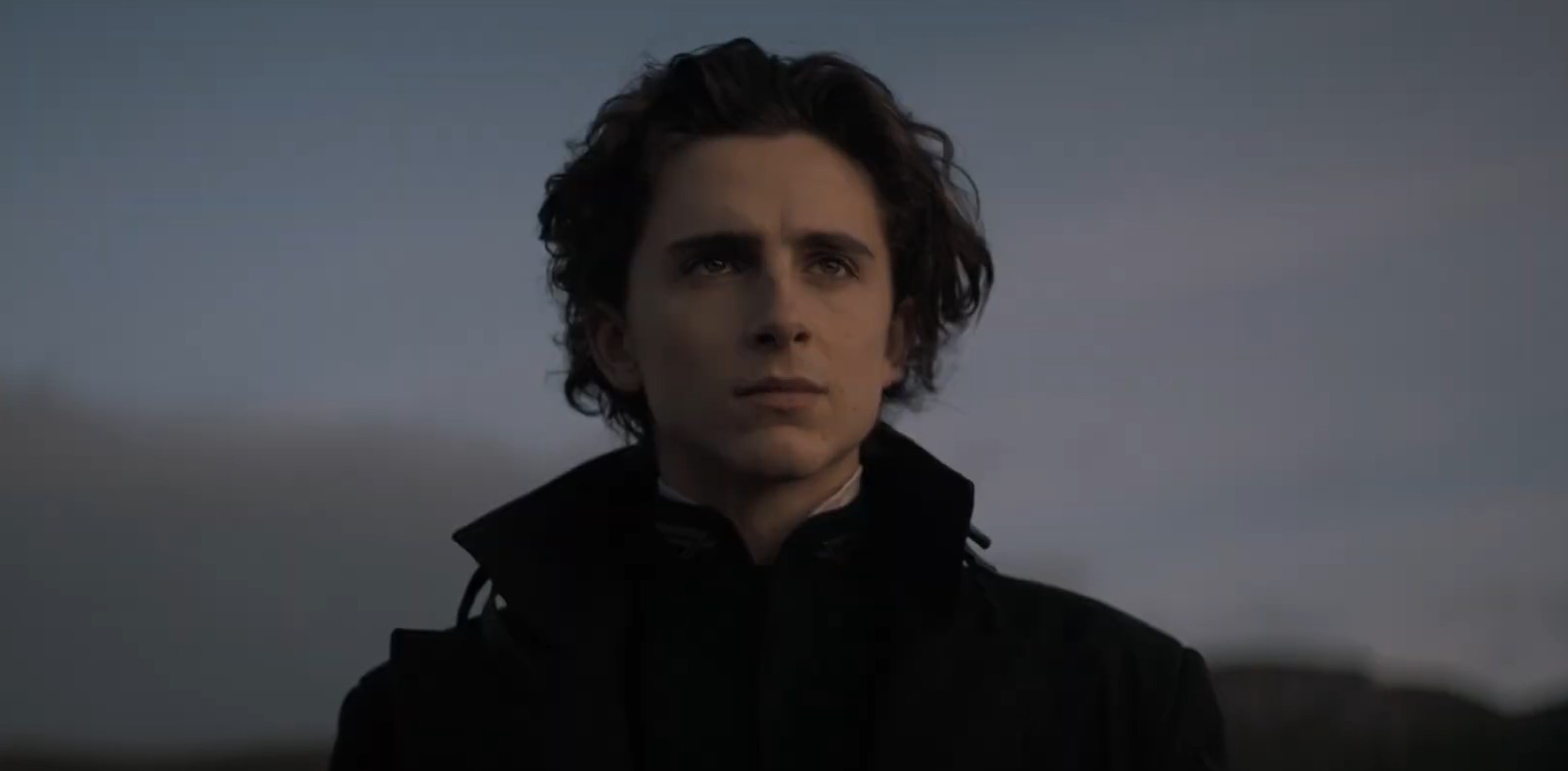 Timothée Chalamet - Dune