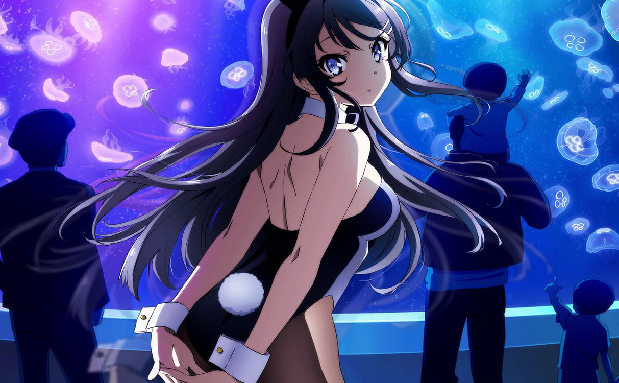 Netflix - Rascal Does Not Dream of Bunny Girl Senpai