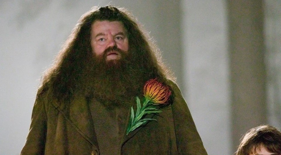 Robbie Coltrane como Hagrid