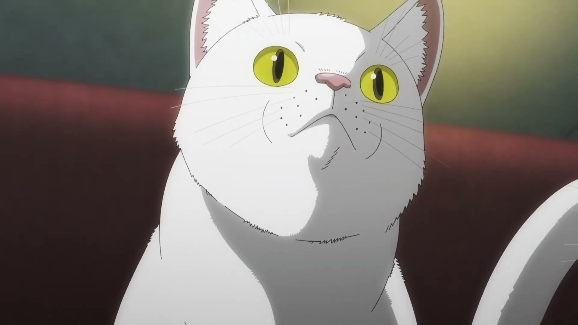 Night of the Living Cat