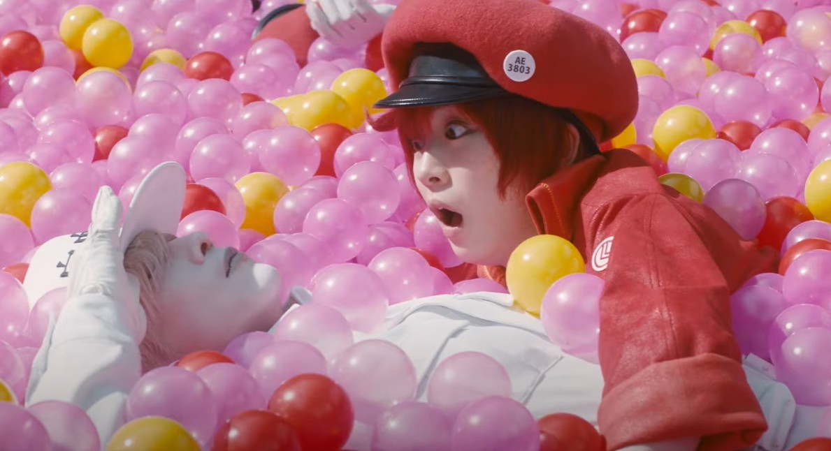 Cells At Work!