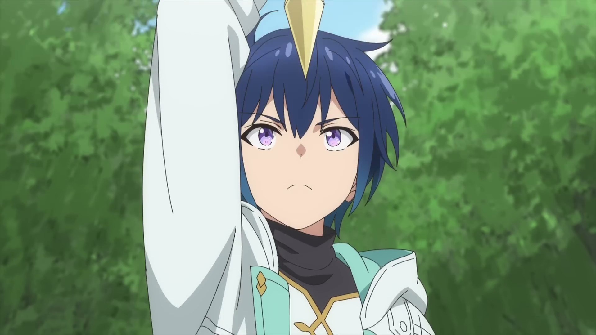 The White Mage Who was Banished From the Hero’s Party